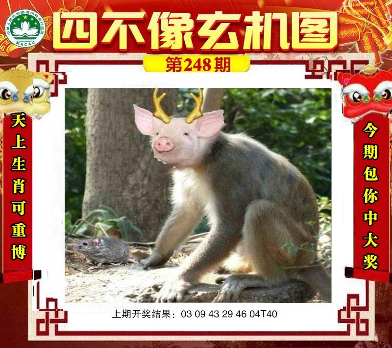 ����Ŵ�