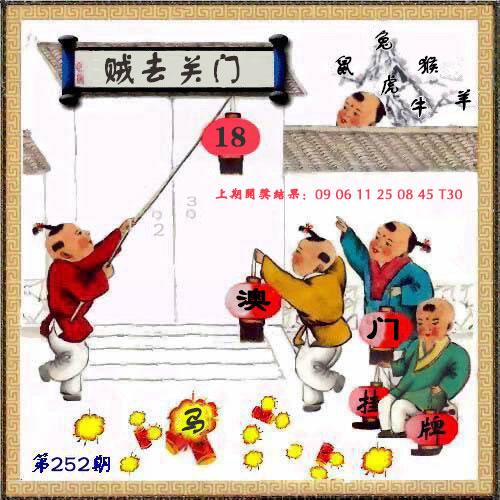 第205期